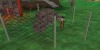 fence
