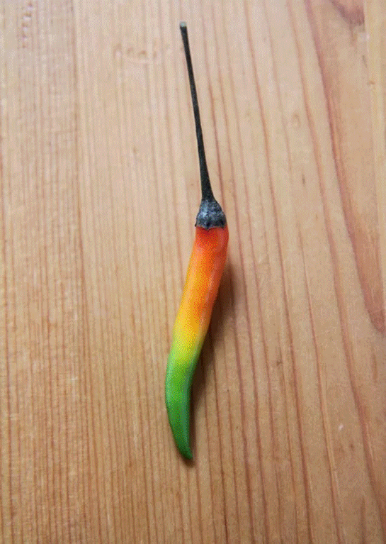 Hue Pepper