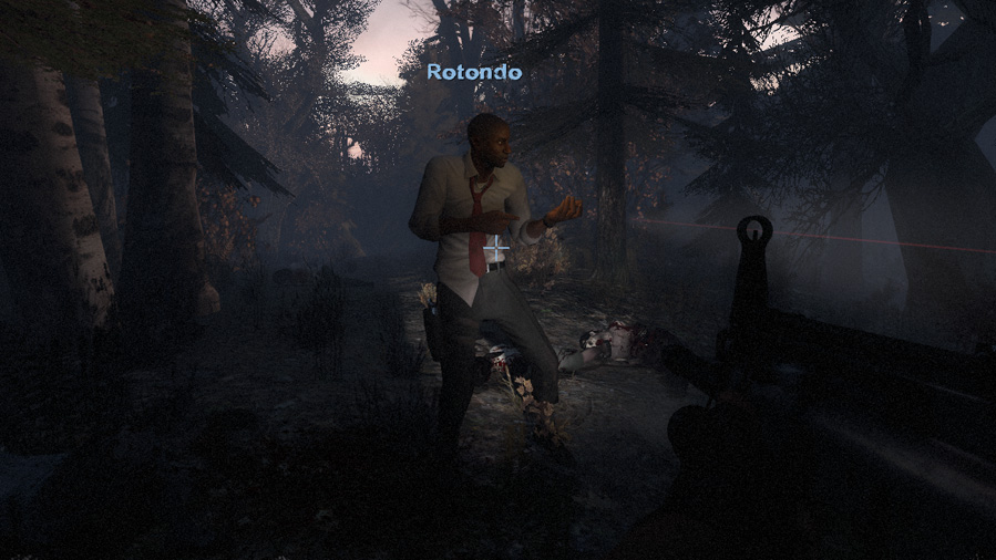 Left 4 Dead 2 Rotondos Gun