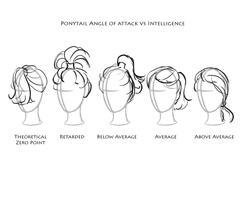 Ponytail angle of attack vs intelligence.  Theoretical zero point, retarded, below average, average, above average