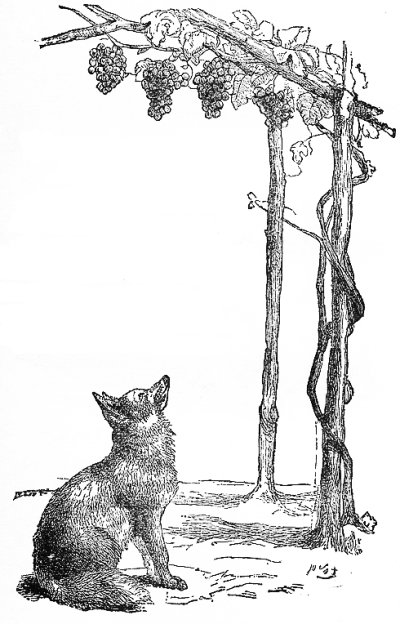 The Fox and the Grapes