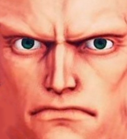 faceapp Street Fighter Before