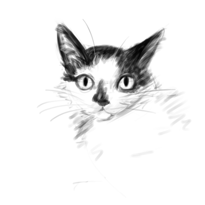 rgd cucumber67